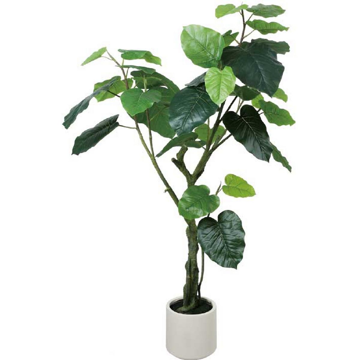 【人工観葉植物】YDM/ウンベラータポット グリーン/GLA-1645GR【01】 造花 葉物 フェイクグリーン 人工観葉植物 人工樹木 高さ～150cmおしゃれ インテリア 店舗 オフィス 装飾 ディスプレイ