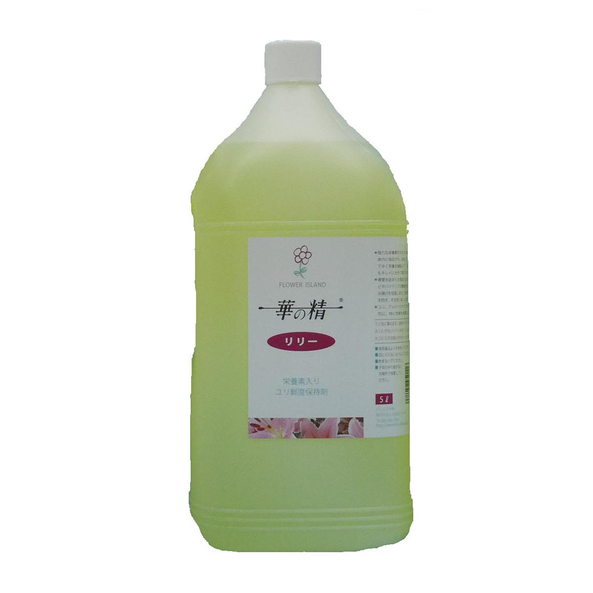 夏特集