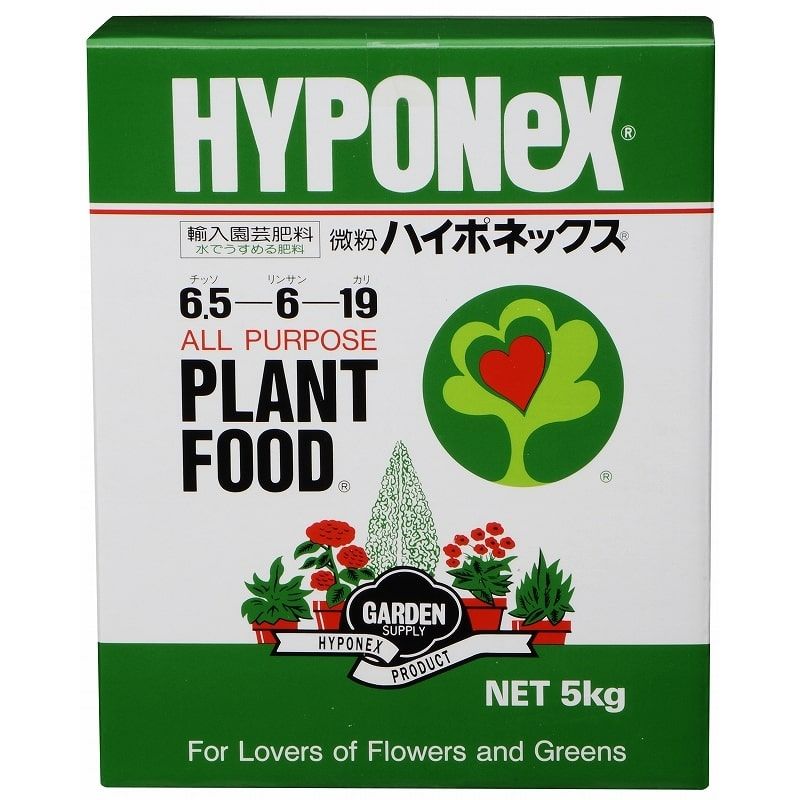 夏特集