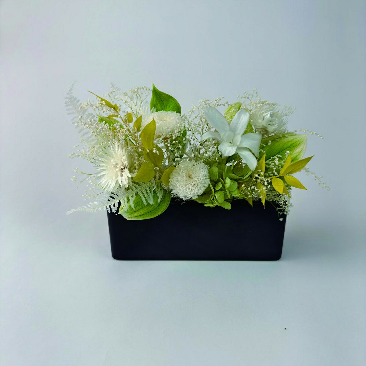 【プリザーブド】OrangeDeco/Fluffy square S WH/KJ0F6208【07】 プリザーブドフラワー プリザーブドフラワーギフト アレンジメント 母の日 バラの日｜花材通販はなどんやアソシエ