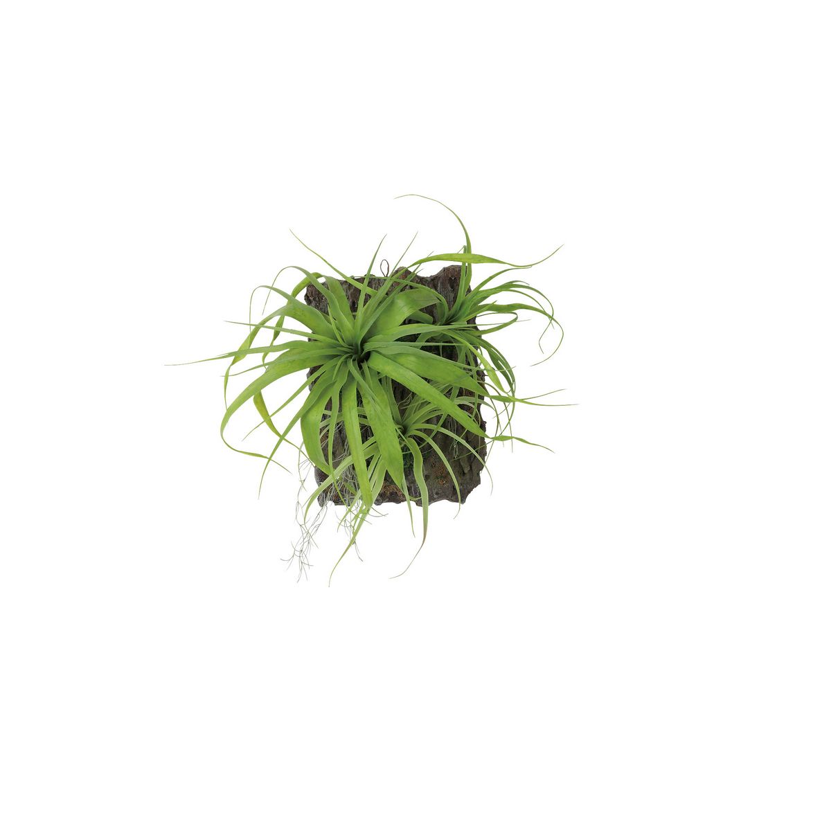【人工観葉植物】東花/Stylish Green チランジア デコ/99559【08】 造花 葉物 フェイクグリーン 人工観葉植物 人工樹木 高さ~50cmおしゃれ インテリア 店舗 オフィス 装飾 ディスプレイ|花材通販はなどんやアソシエ