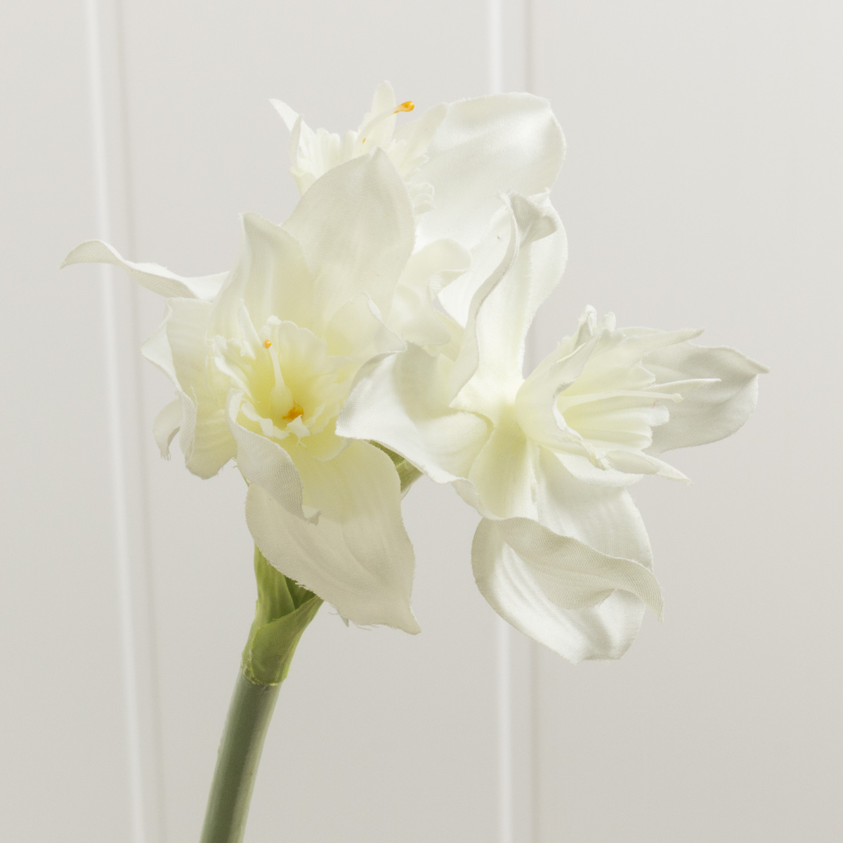 楽天市場 即日 造花 Ydm ユーチャリス ホワイト Fa6611 W 花材通販はなどんやアソシエ