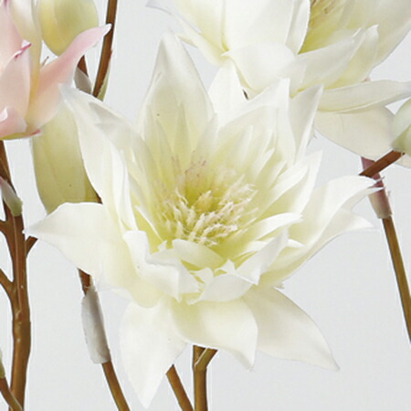 楽天市場 造花 アスカ セルリア ２ つぼみ ４ ０５２ ホワイトグリ ン A 01 取寄 造花 アーティフィシャルフラワー 造花 さ行 セルリア 花材通販はなどんやアソシエ