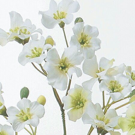 楽天市場 即日 造花 アスカ ブロッサムスプレー 25 つぼみ 8 ホワイト A 1造花 アーティフィシャルフラワー 造花 花材 は行 その他 は行 造花花材 手作り 材料 花材通販はなどんやアソシエ 楽天市場 即日 造花 アスカ ブロッサムスプレー 25 つぼみ 8 ホワイト A 1造花 アーティフィシャルフラワー 造花 花材 は行 その他 は行 造花花材 手作り 材料 花材通販はなどんやアソシエ