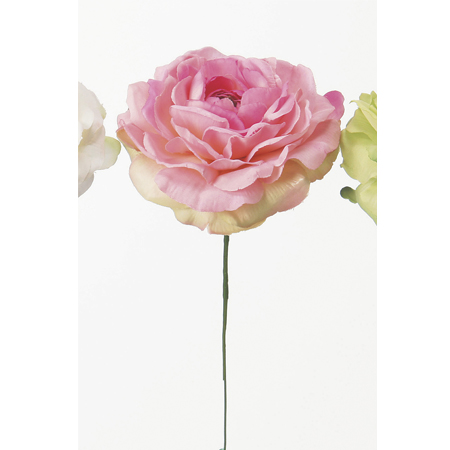 楽天市場 即日 造花 アスカ ラナンキュラスピック クリームピンク A 3c造花 アーティフィシャルフラワー 造花 花材 ら行 ラナンキュラス 手作り 材料 花材通販はなどんやアソシエ