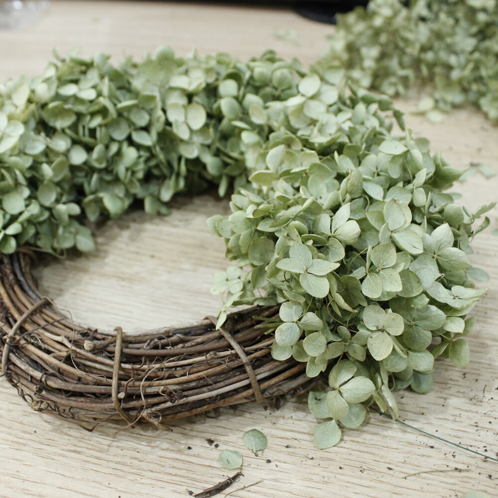 楽天市場 生花 はなどんやキット 紫陽花アナベルのリース 早締切 1組 届日限定 予約7日前 花材通販はなどんやアソシエ