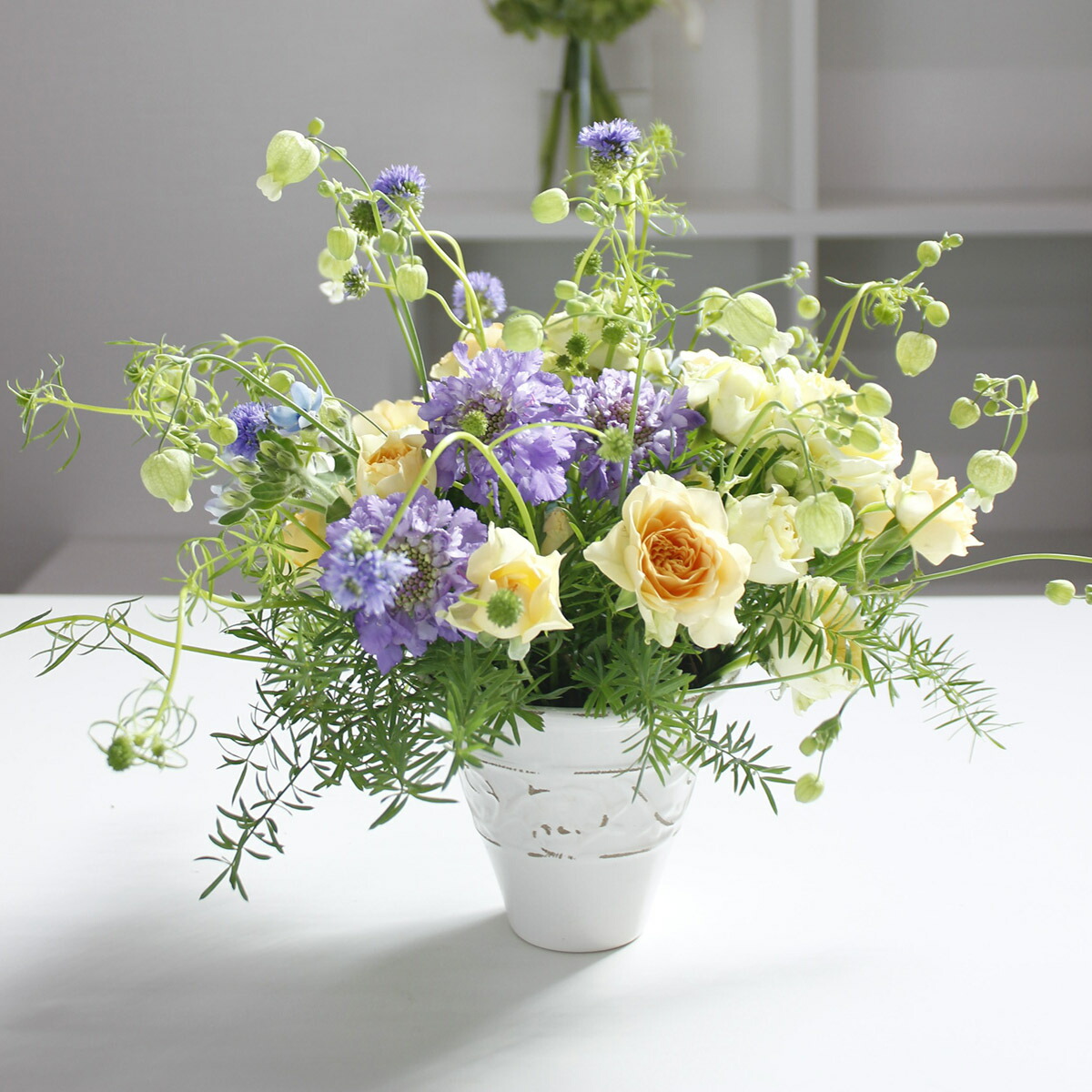 楽天市場 生花 シレネ グリーンベル 5本 花材通販はなどんやアソシエ