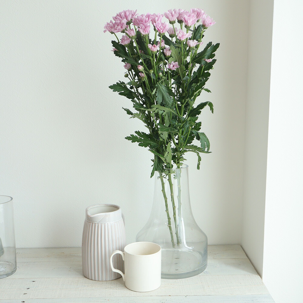 楽天市場 生花 Spマム ピンク 5本 花材通販はなどんやアソシエ