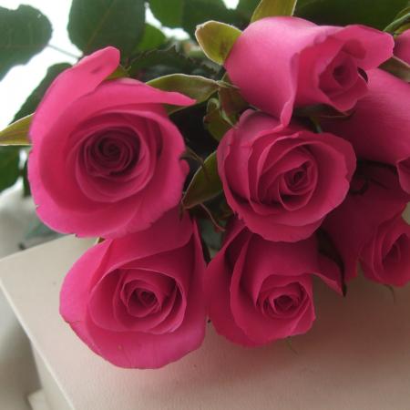 最高バラ 品種 ピンク 最高の花の画像