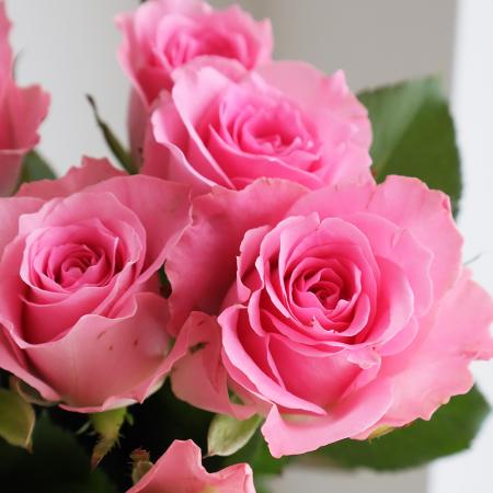 楽天市場 生花 バラ ブロッサムピンク 5本 花材通販はなどんやアソシエ