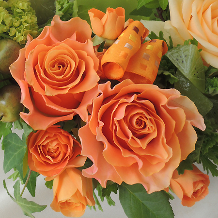 楽天市場 生花 バラ カルピデューム オレンジ 5本 花材通販はなどんやアソシエ