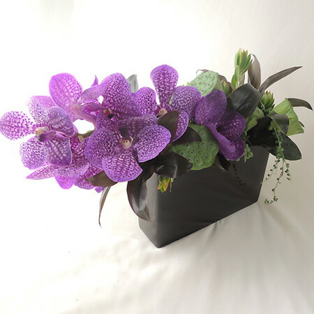 楽天市場 生花 バンダ ブルー系おまかせ 4 5輪 5本 花材通販はなどんやアソシエ