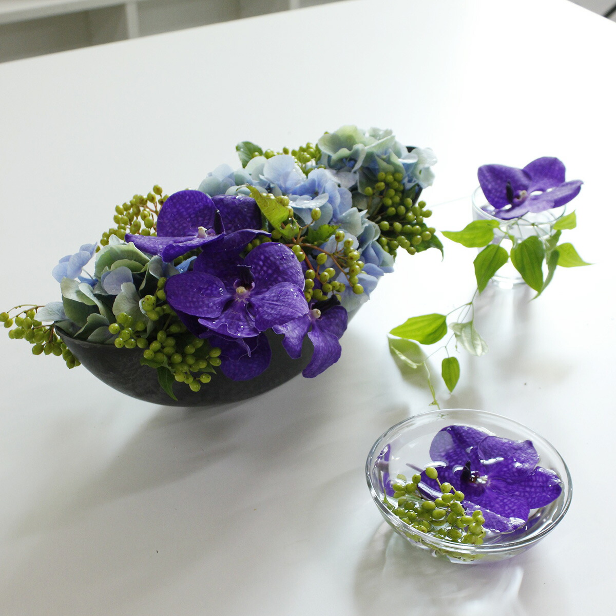 楽天市場 生花 バンダ ブルー系おまかせ 4 5輪 5本 花材通販はなどんやアソシエ