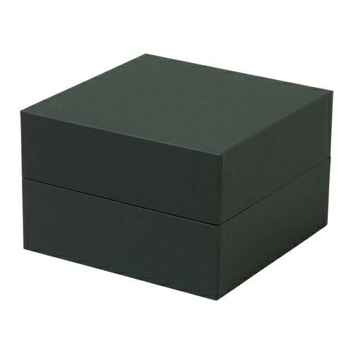 HOSHINO/Ｐ－ＢＯＸ　Ｍ　No.５（ブラック）/315460【07】[5個] 花器、リース 花器・花瓶 フラワーボックスフラワーべース 資材 可愛い おしゃれ お正月 クリスマス ハロウィン 成人式 敬老の日 母の日