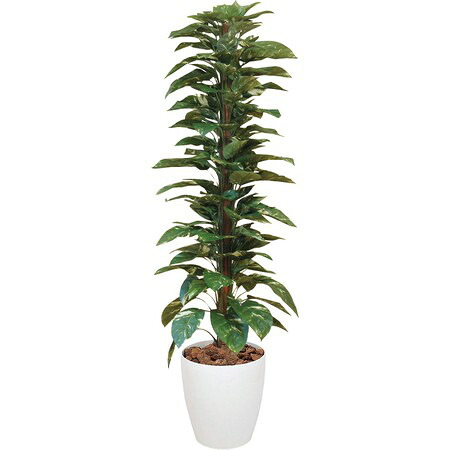 【直送】【人工観葉植物】YDM/ジャイアントポトス１．８ｍ ホワイト/GLPA-010-W※返品代引不可【30】 造花 アーティフィシャルフラワー 葉物、フェイクグリーン ポトス人工 フラワーアレンジ花材 おしゃれ ハンドメイド材料 クラフト素材 装飾｜花材通販はなどんやアソシエ