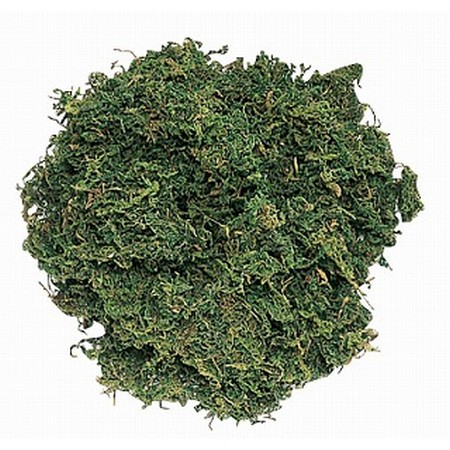 【ドライ】東花/山ゴケ大袋 グリーン 約1ｋｇ/71039【01】 ドライフラワー ドライ葉物 モス・苔花材 ハンドメイド材料 クラフト素材 夏 秋 お正月 クリスマス ブライダル