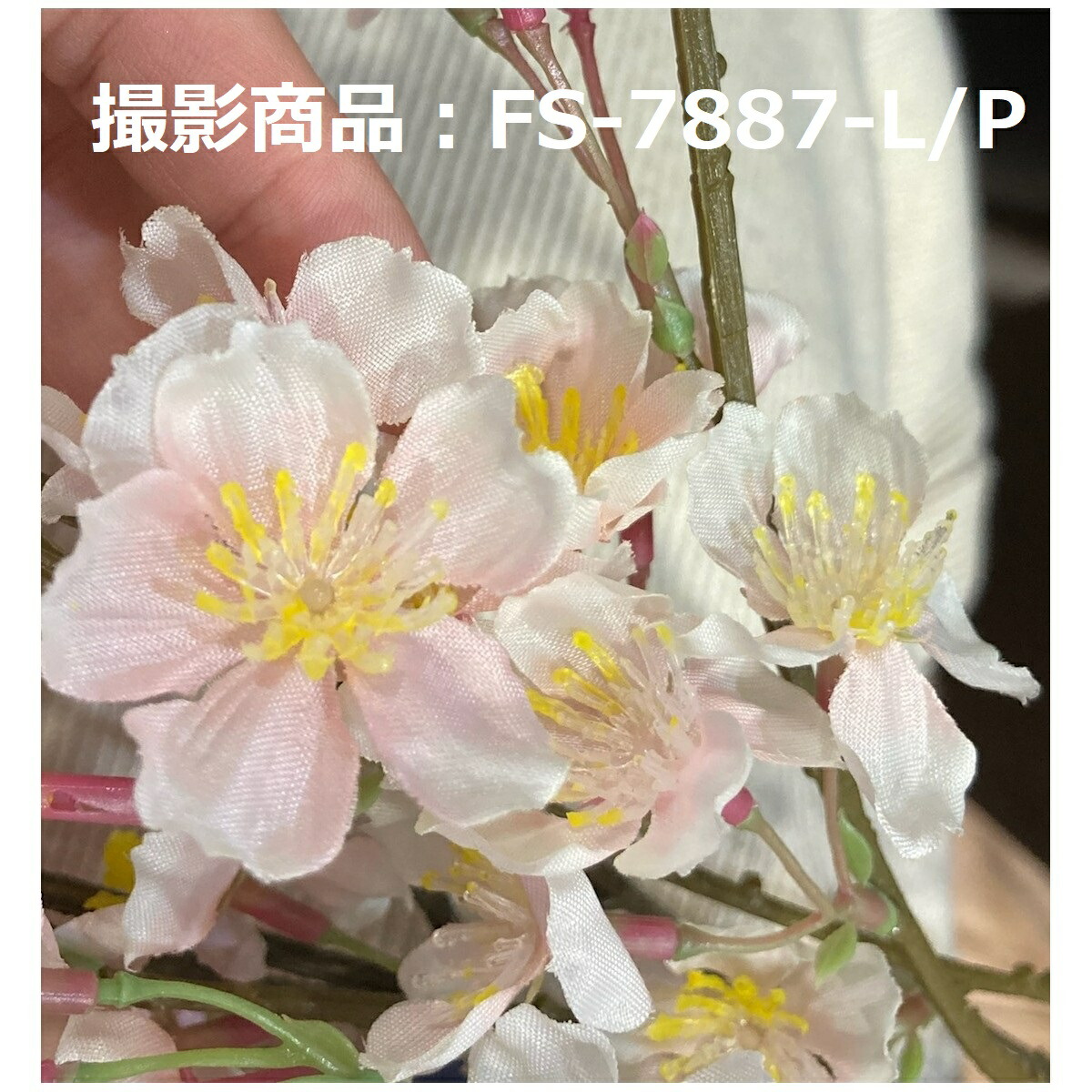 楽天市場 即日 造花 Ydm シダレザクラ ピンク Fs 77 P造花 アーティフィシャルフラワー 造花 花材 さ行 さくら 桜 手作り 材料 花材通販はなどんやアソシエ