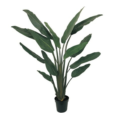 楽天市場 直送 人工観葉植物 東京堂 トラベラーズパームポット Fg 返品 キャンセル不可 01 造花 アーティフィシャルフラワー 人工観葉植物 高さ 0cm 手作り 材料 花材通販はなどんやアソシエ