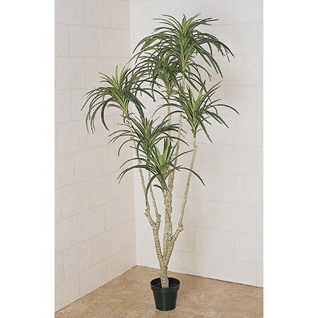 【直送】【人工観葉植物】東京堂/ユッカプラント ×6 GREEN/FG011544※返品代引不可【01】 造花 葉物 フェイクグリーン 人工観葉植物 人工樹木 高さ~150cmおしゃれ インテリア 店舗 オフィス 装飾 ディスプレイ|花材通販はなどんやアソシエ