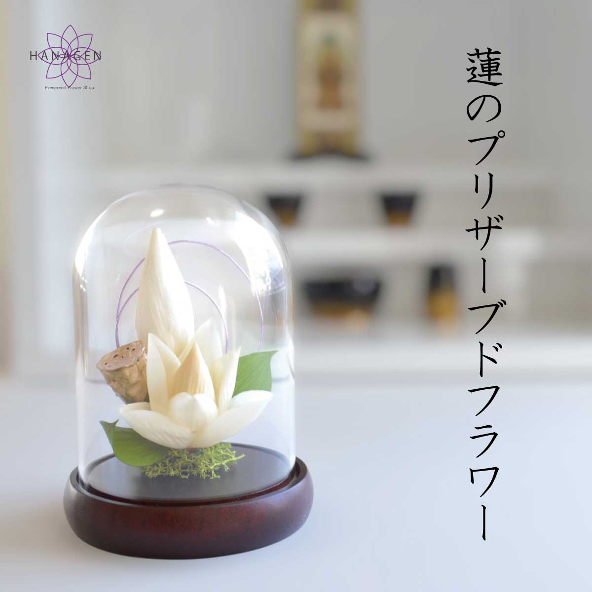 お供え 蓮 プリザーブドフラワー 蓮 仏花 お供え物 お悔み ガラスドーム付き プリザーブドフラワー 花 プリザーブドフラワー供花 仏壇花 お供えの花 【蓮の花】仏花 仏壇用 お供え 花 お悔やみ お供えの花 プリザーブドフラワー 供花 プリザーブドフラワー仏花