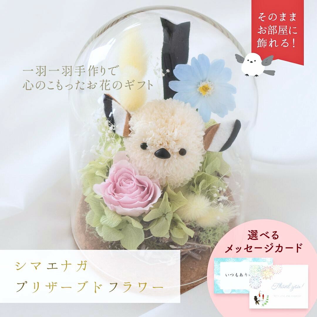 楽天市場】「雪の妖精＊シマエナガ＊」プリザーブドフラワー 誕生日