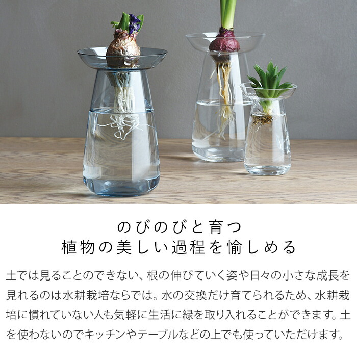 楽天市場 Kinto キントー Aqua Culture Vase Lサイズ アクアカルチャーベース クリア ブルー グレー ソーダガラス 0ml ハナハコ インテリア雑貨