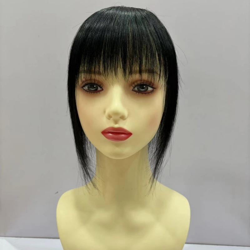 ウィッグ レディース 人毛 ヘアピース 白髪隠し 薄毛対策 ボリュームアップ 頭頂部用 部分ウィッグ ロング ストレート ポニーテール対応 染められる
