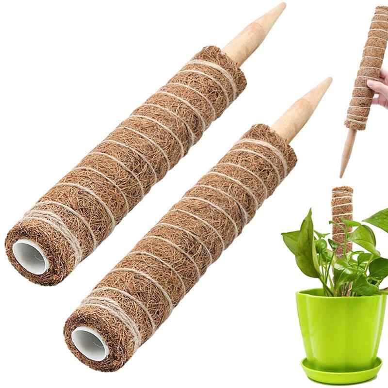 ガーデニング備品 ココ椰子衣料繊維 鉢植え 観葉草木用 草木拠りどころ 極点 つる性草木 生まれ育つ受け支える オウゴンカズラ モンステラ 苔棒 落とし掛ける 身寄り園芸 園芸やり方