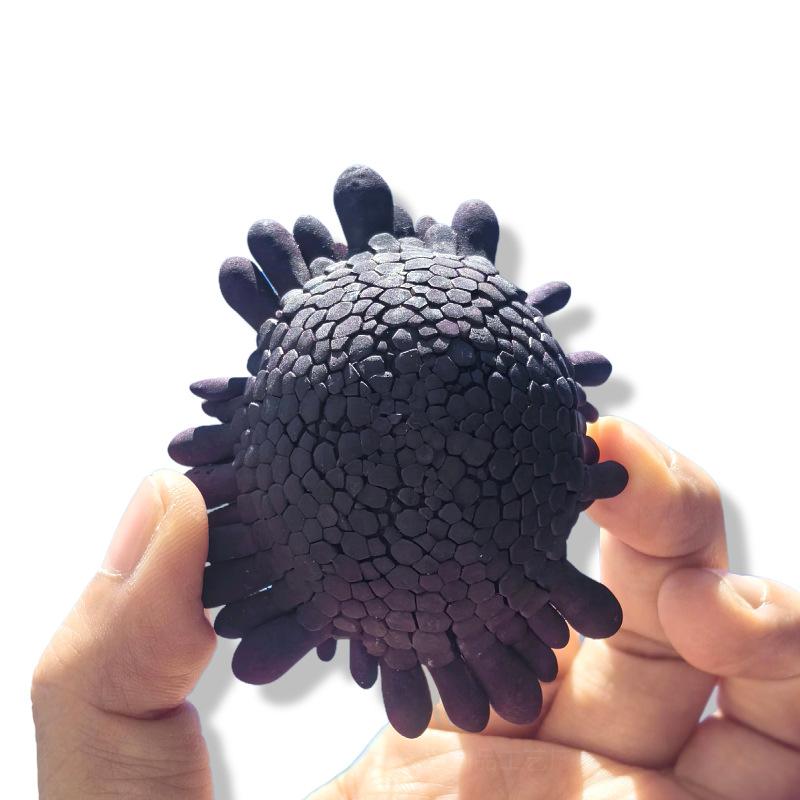 インテリア 天然 巻貝 貝殻 兜ウニ殻 ウニの殻 地中海風 マリンスタイル リゾート風 DIY 多肉植物鉢 観葉植物鉢 テラリウム アクアリウム おしゃれ ランプシェード ライトカバー 置物 飾り オブジェ 卓上飾り