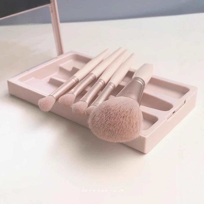 メイクブラシ 5本セット 学生 初心者向け 収納ケース付き 超ソフト 極細毛 人工毛 合成繊維 お手頃価格 持ち運び便利 普段使い 旅行用 メイクアップツール