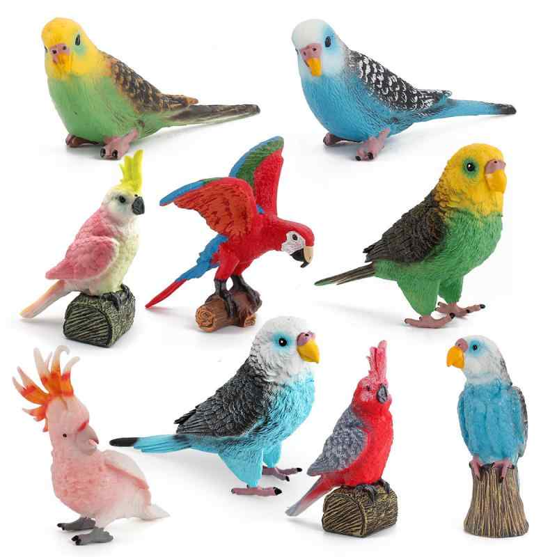 鳥 フィギュア キッズ 子供用 リアル コンゴウインコ オカメ セキセイ バード PVC製 精巧な模型 7個セット 知育玩具 学習 小学生 男の子 女の子 観察用