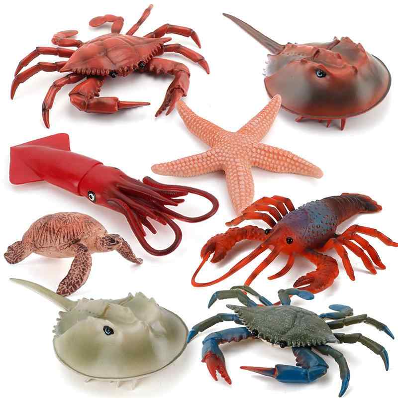 楽天市場】【1】 エフトイズ 水辺のいきもの 昆虫＆甲穀類 タガメ