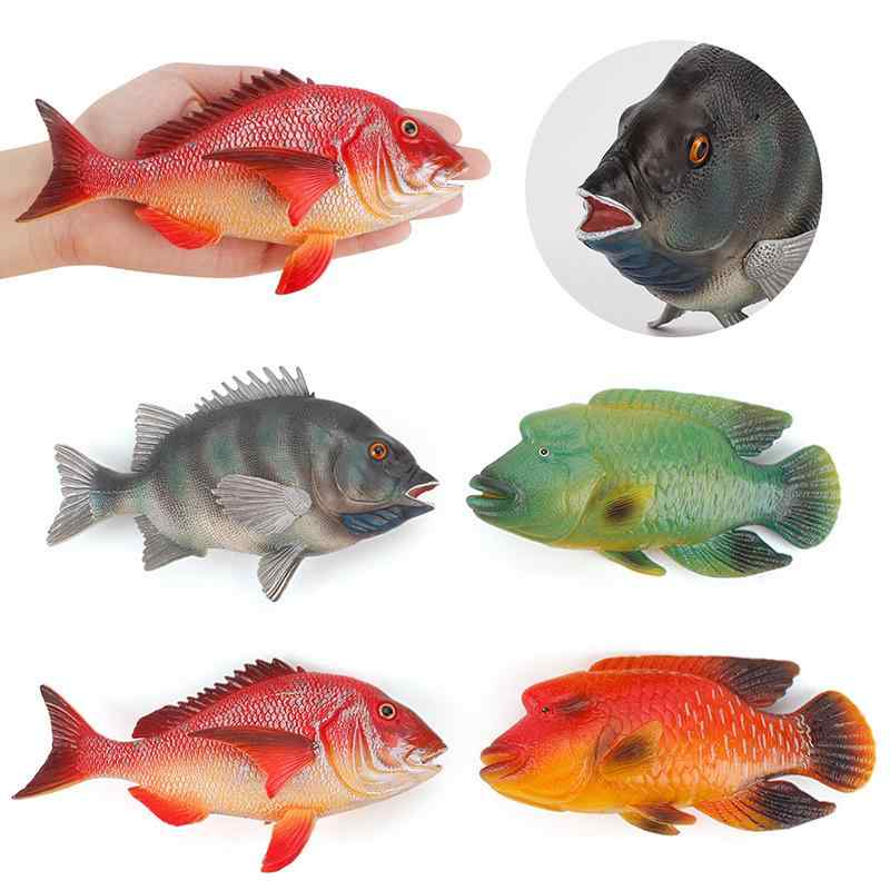 フィギュア キッズ 海洋動物モデル 熱帯魚 スジブダイ フエダイ イシダイ リアル 精巧 プラスチック製 カラフル インテリア 置物 水槽飾り 学習 コレクション