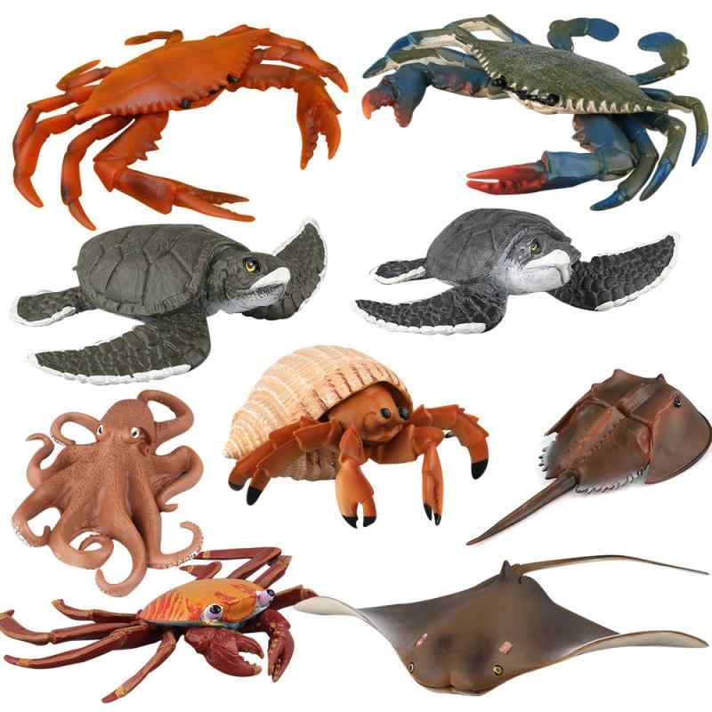 模型 リアル 海洋生物 タコ ウミガメ ヤドカリ フィギュア マリンアニマル オブジェ 飾り インテリア 精巧 鑑賞 コレクション ディスプレイ 子供部屋 デスク リビング 水槽 学習 生き物