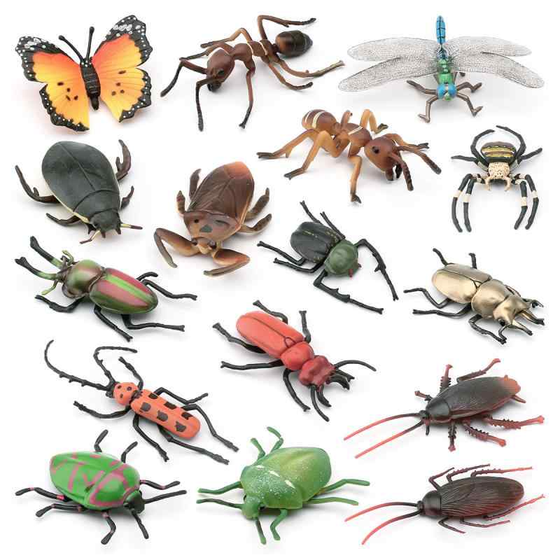 楽天市場】【即日発送 あす楽】collecta （コレクタ）昆虫 バッタ