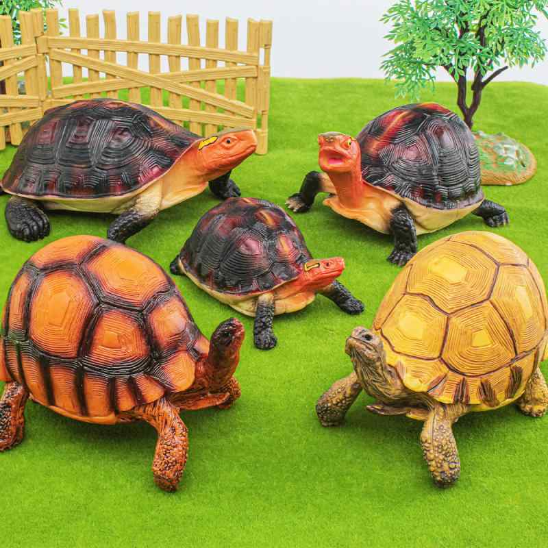 楽天市場】カメの置物 ウミガメ 2点セット リアルな 亀 海亀爬虫類