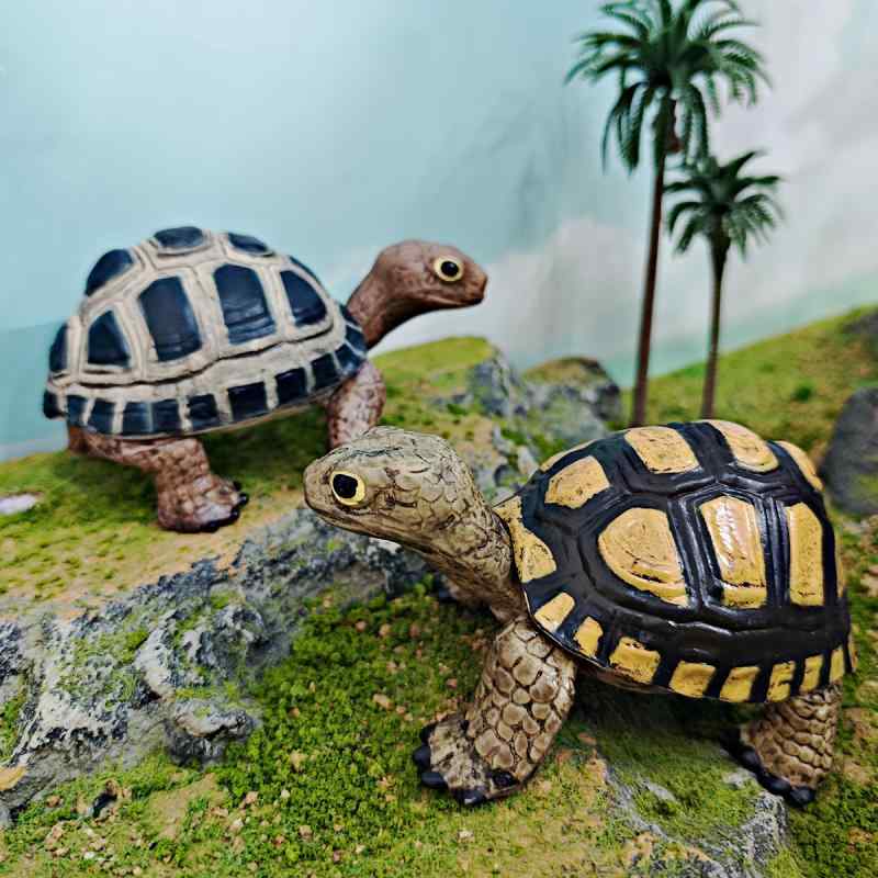 楽天市場】【AAGWW】動物モデル 両生類爬虫動物 カメ 飾り セット