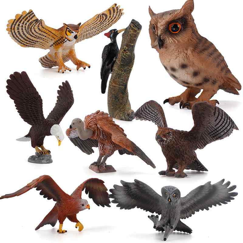 知育玩具 キッズ 野生動物 鳥類 フィギュア 模型 リアル フクロウ キツツキ おもちゃ オブジェ 置物 教育 学習 生物観察 シミュレーション PVC素材