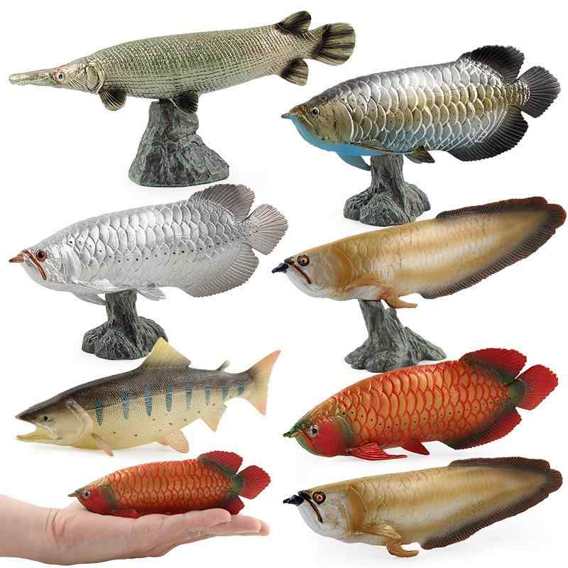 フィギュア キッズ 子供用 ソリッド スタティック リアル 精巧 海洋生物 魚類 模型 プラスチック製 置物 アロワナ 金龍魚 銀龍魚 玩具 コレクション 観賞用 ディスプレイ インテリア 飾り物