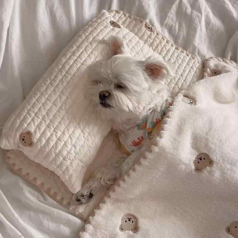 ペットベッド 犬 猫 兼用 スクエア型 ドッグハウス キャットハウス 洗える カバー取り外し可能 保温 あったか ふわふわ 布製 くま柄 秋冬用