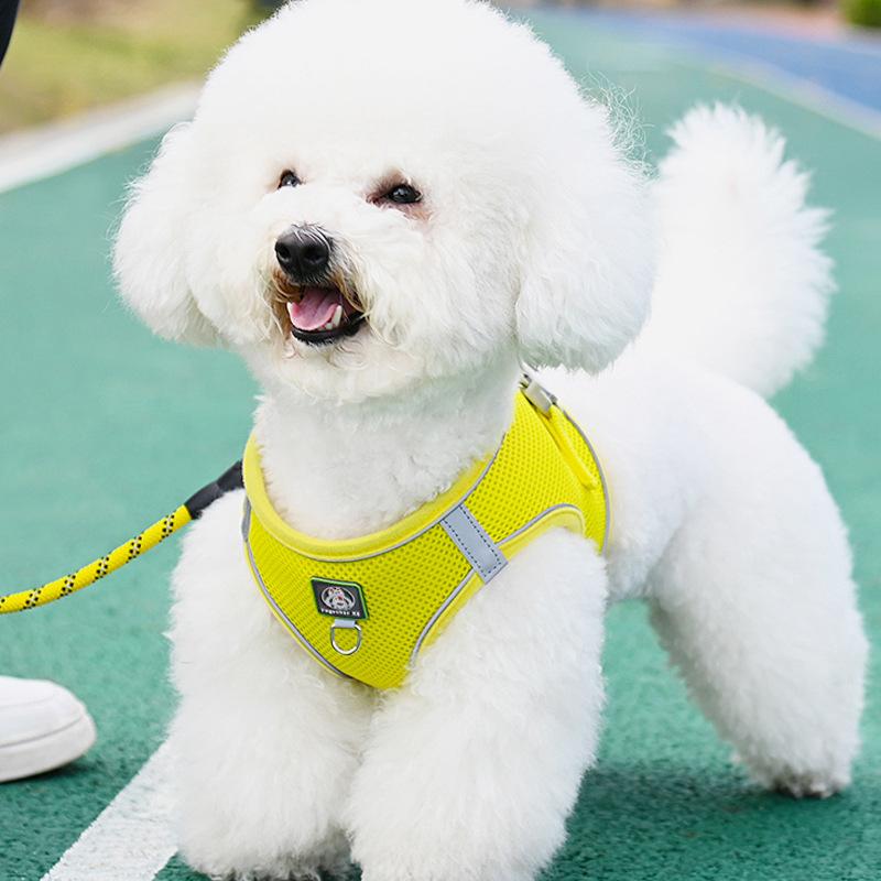 犬用馬具 小型犬 犬ころ より良い型 胴輪 先んじる書き割り ポリエステル 伸縮性 おほっつき歩く用 ビション 手あそびプードル ポメラニアン 黒 さくら色 赤 青 黄 紫
