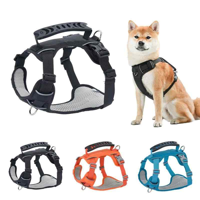 犬用馬具 小型犬 中型犬 より良い型 胴輪 ポリエステル原料品 伸縮性 照りかえす材付き添い人 暮夜安全性のある打つ手 おほっつき歩く お出かけ 先んじる書き割り 黒いこと オレンジ色 青碧