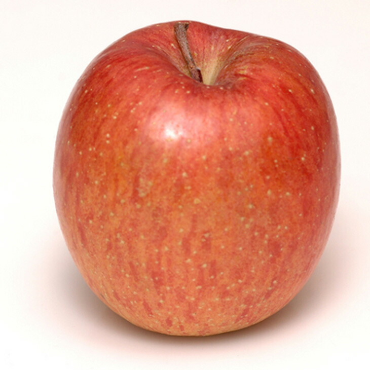 りんご　苗木　富士　大小セット　1.7メートル りんご 苗木 富士 大小セット 1.7メートル 【楽天市場】りんご 苗木