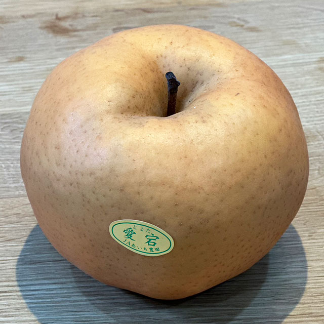 楽天市場】梨 苗木 【二十世紀梨】 1年生 接ぎ木 ポット苗 なし 苗