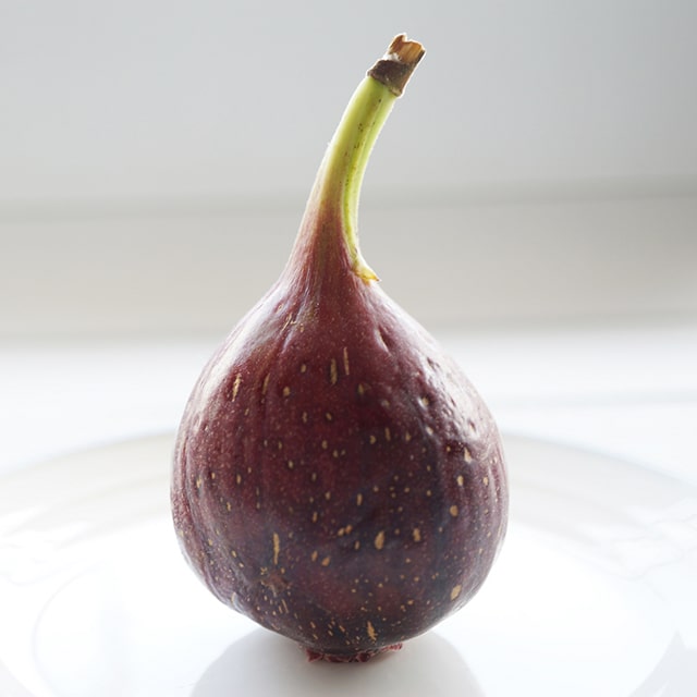 1苗限定☆激ヤバ変態〜いらっしゃいCampaniere Mutant イチジク