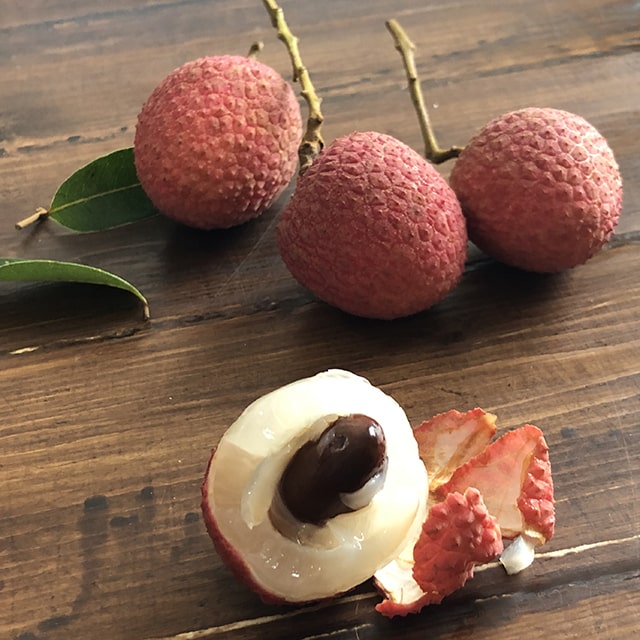 ライチ 苗 大株苗 レイシ ライチー 茘枝 国産 常緑 果樹 常緑樹 観葉植物 玉荷包 超激安