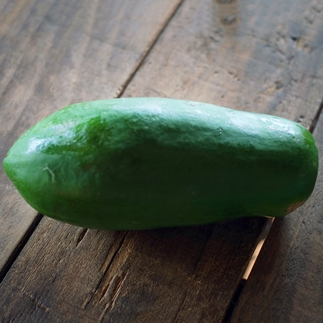 パパイヤ 苗 昊青 コウセイ ポット苗 青パパイヤ パパイヤの木 熱帯植物 トロピカルフルーツ 常緑 苗木 果樹 果樹苗 爆買い