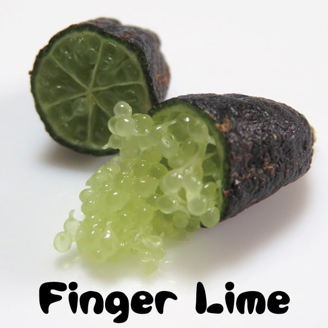 楽天市場】フィンガーライム 苗 【ダーラムエメラルド】 果皮：黒 果肉