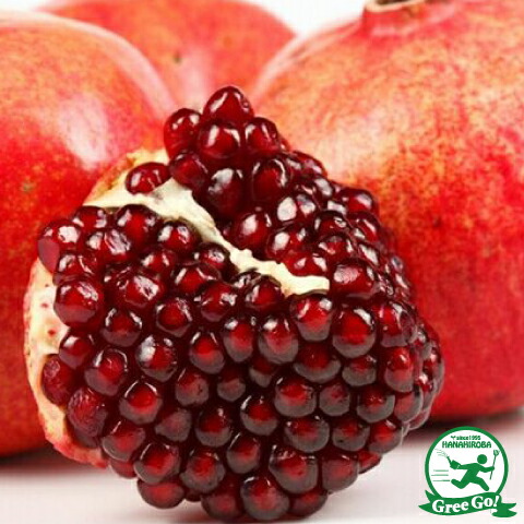 楽天市場】ザクロ 苗 【超大実 中華石榴王 （ちゅうかざくろおう）】 3