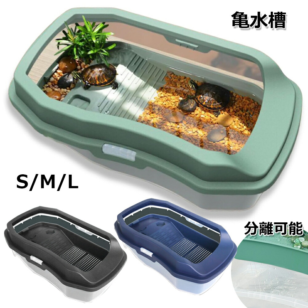 メートランドスミス】帽子をかぶった亀の置物 メートランドスミス